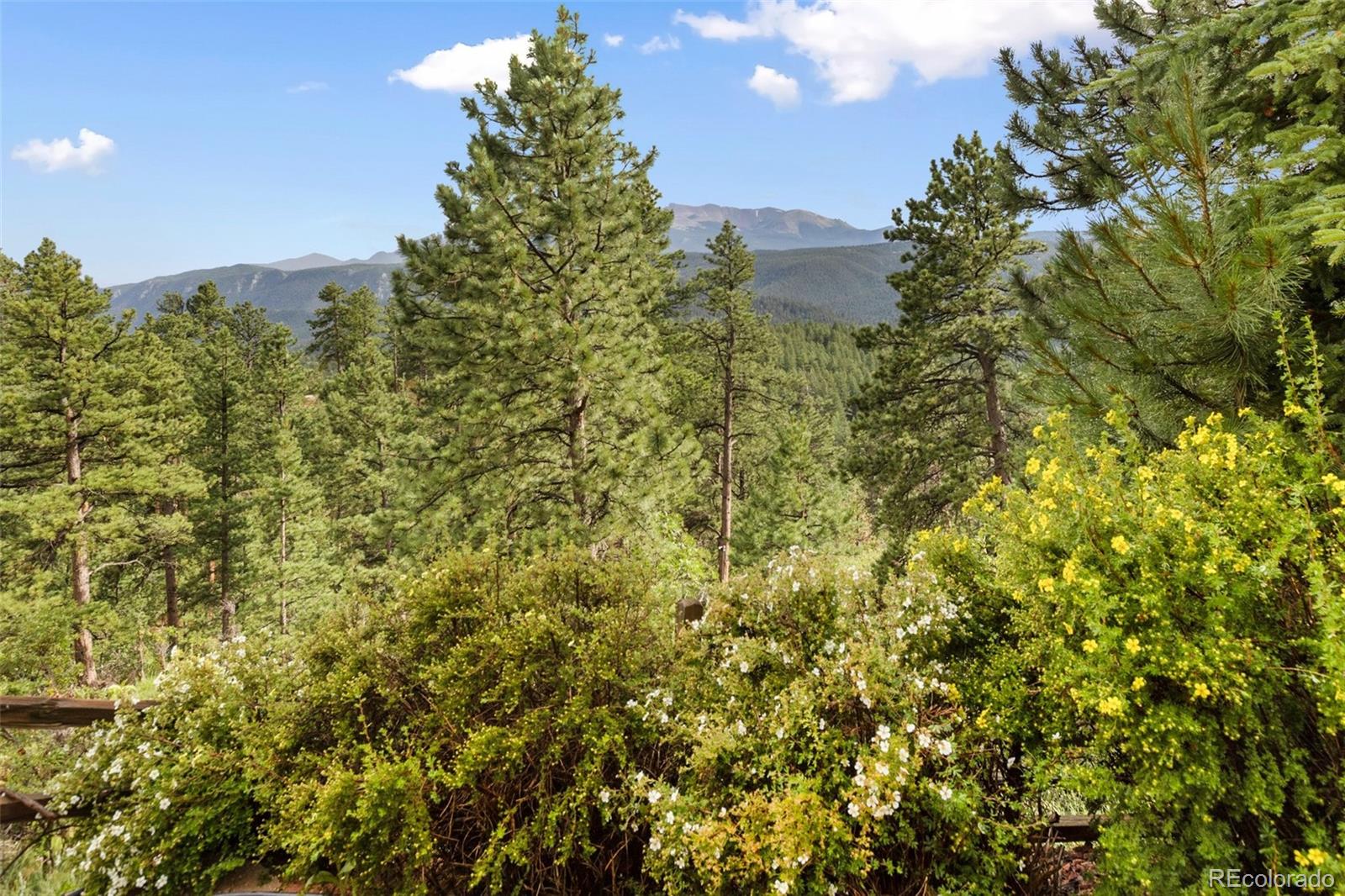 MLS Image #11 for 1130  kings crown road,woodland park, Colorado