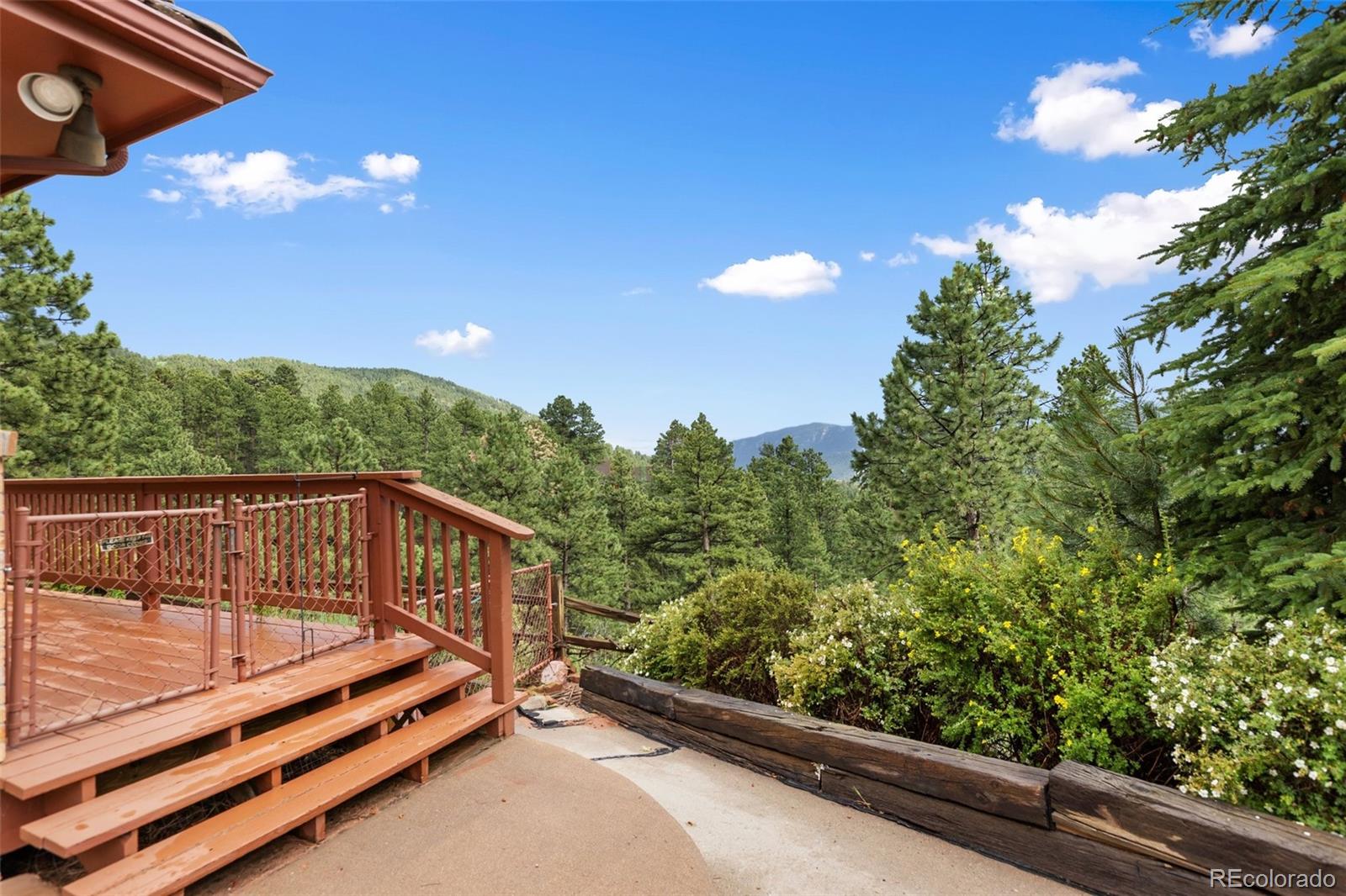 MLS Image #44 for 1130  kings crown road,woodland park, Colorado