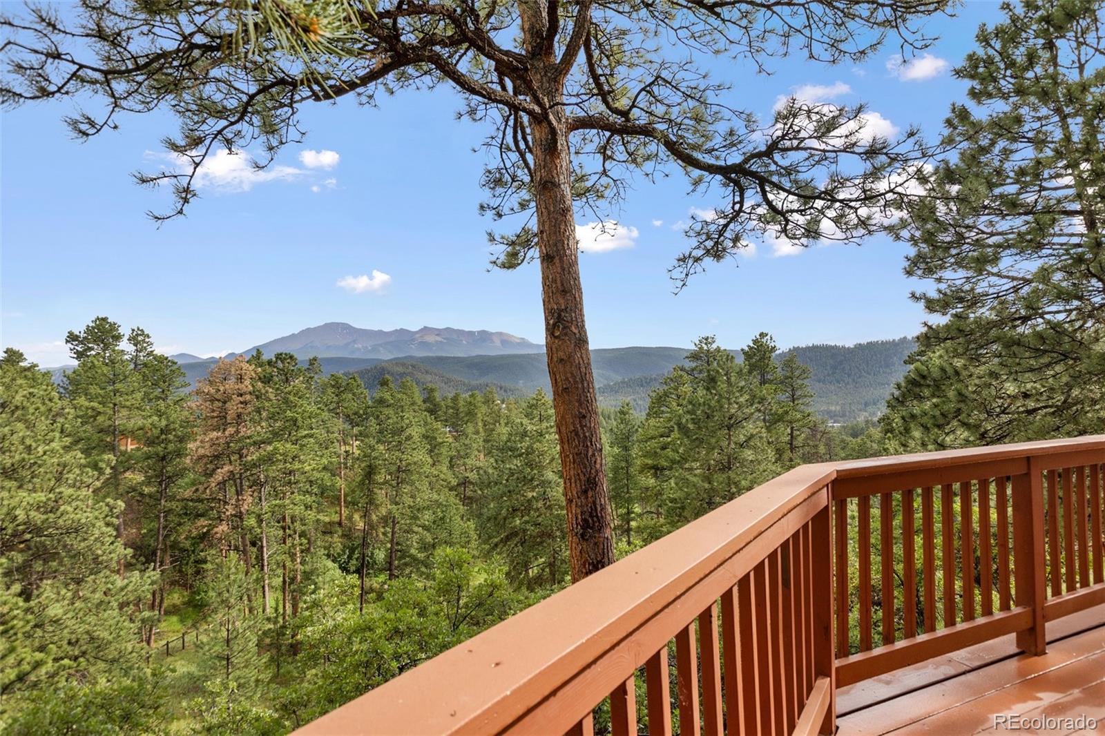 MLS Image #46 for 1130  kings crown road,woodland park, Colorado