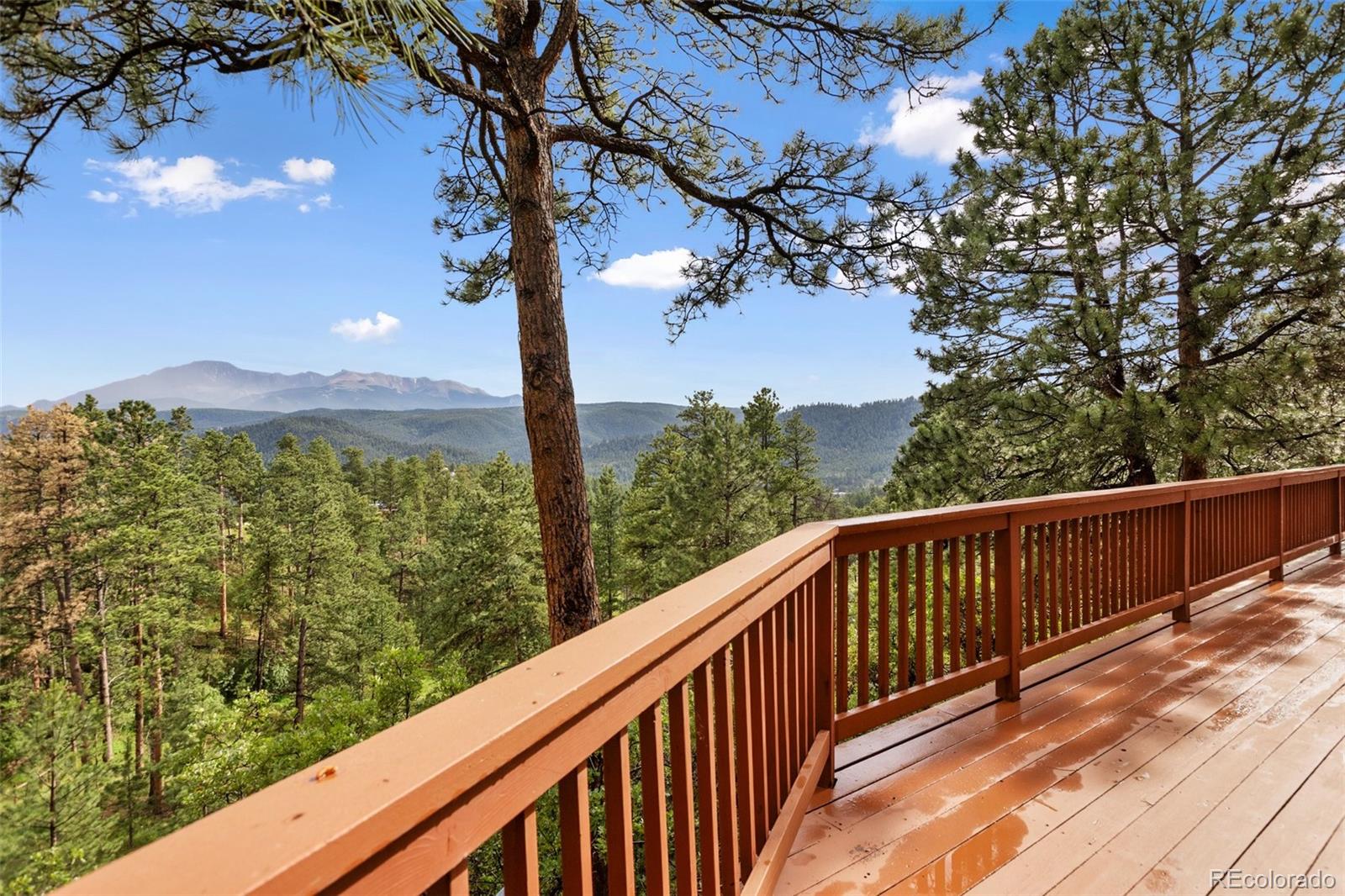 MLS Image #5 for 1130  kings crown road,woodland park, Colorado