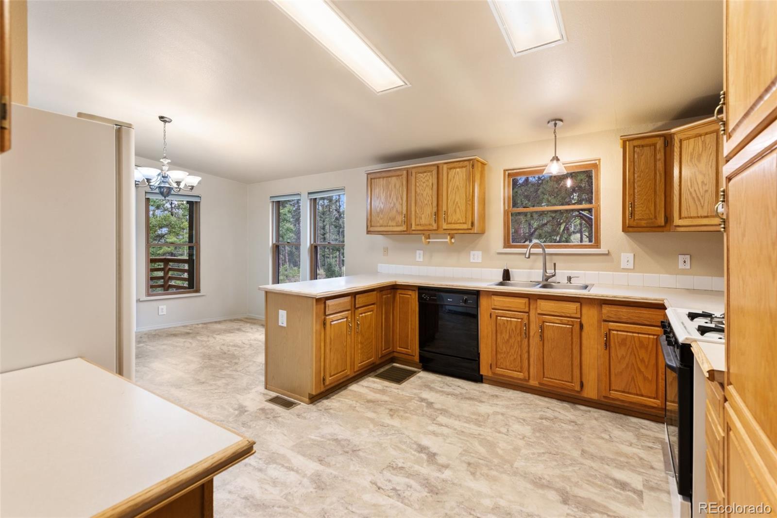 MLS Image #12 for 534  poncha creek trail,florissant, Colorado