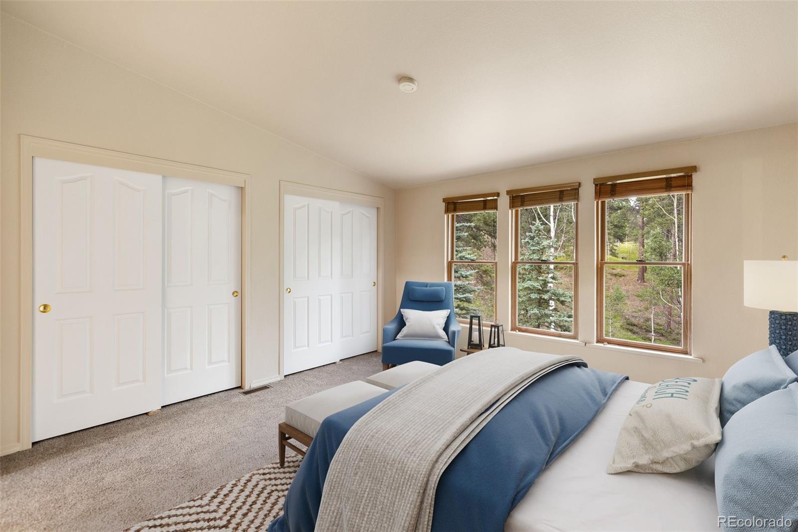 MLS Image #15 for 534  poncha creek trail,florissant, Colorado