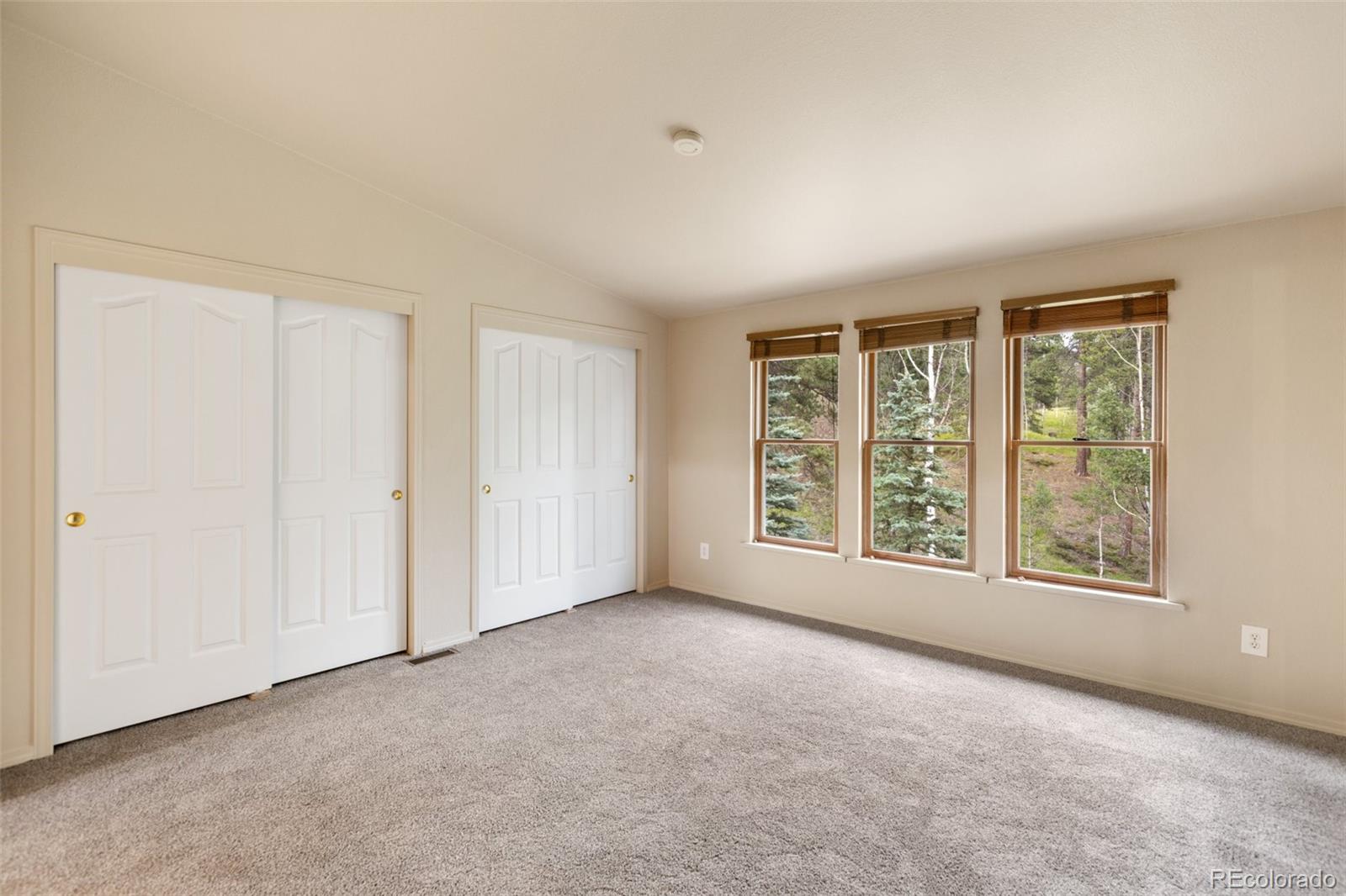 MLS Image #16 for 534  poncha creek trail,florissant, Colorado
