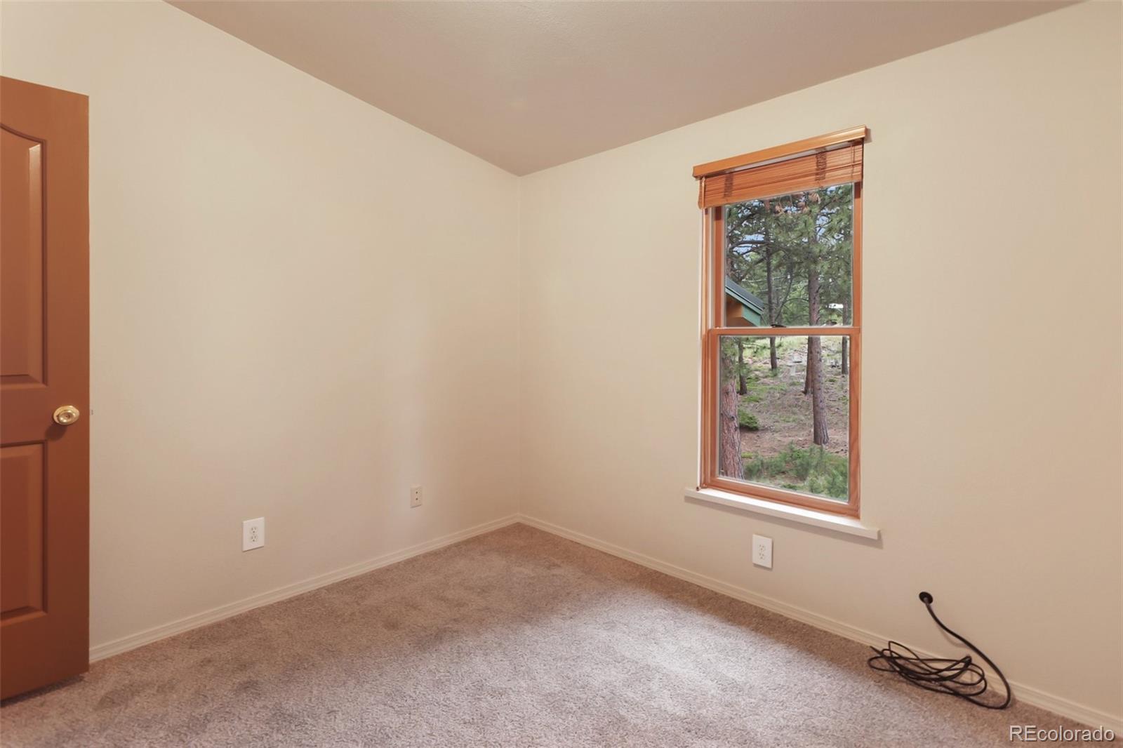 MLS Image #25 for 534  poncha creek trail,florissant, Colorado
