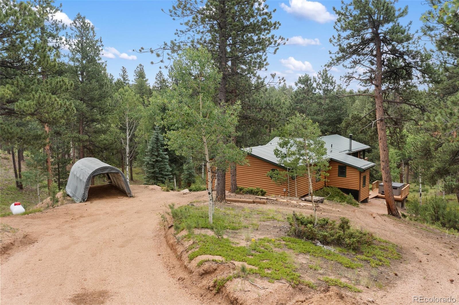 MLS Image #3 for 534  poncha creek trail,florissant, Colorado