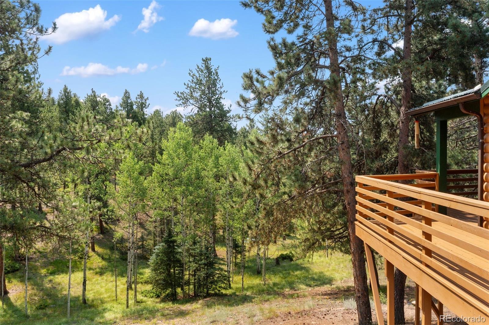 MLS Image #36 for 534  poncha creek trail,florissant, Colorado