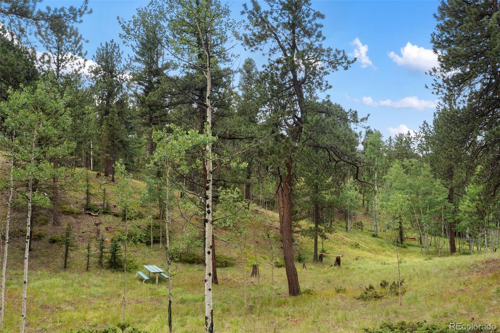 MLS Image #42 for 534  poncha creek trail,florissant, Colorado