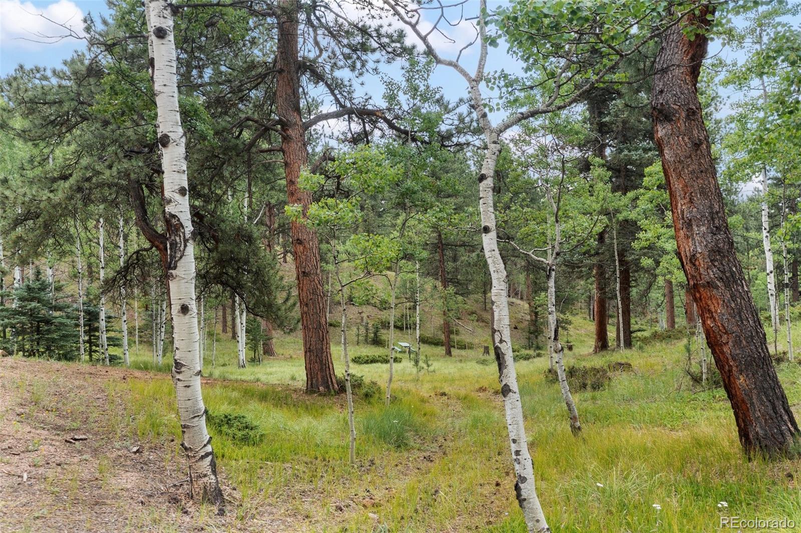 MLS Image #43 for 534  poncha creek trail,florissant, Colorado