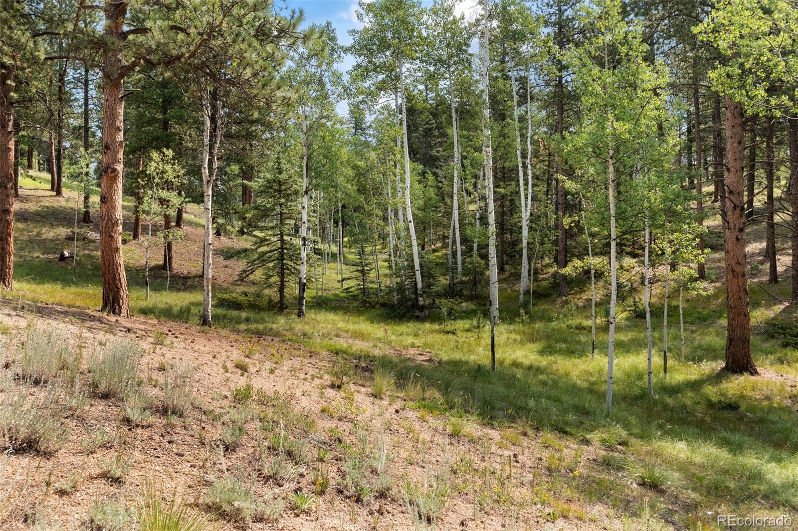 MLS Image #44 for 534  poncha creek trail,florissant, Colorado