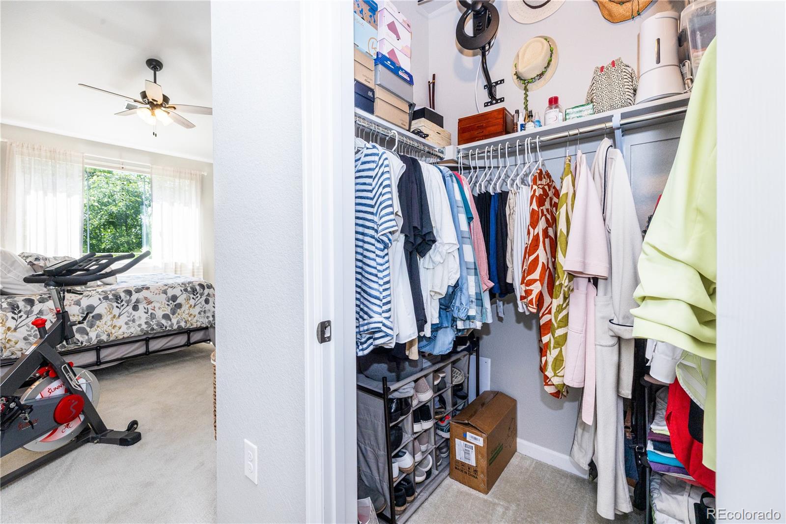 MLS Image #16 for 804  summer hawk drive,longmont, Colorado