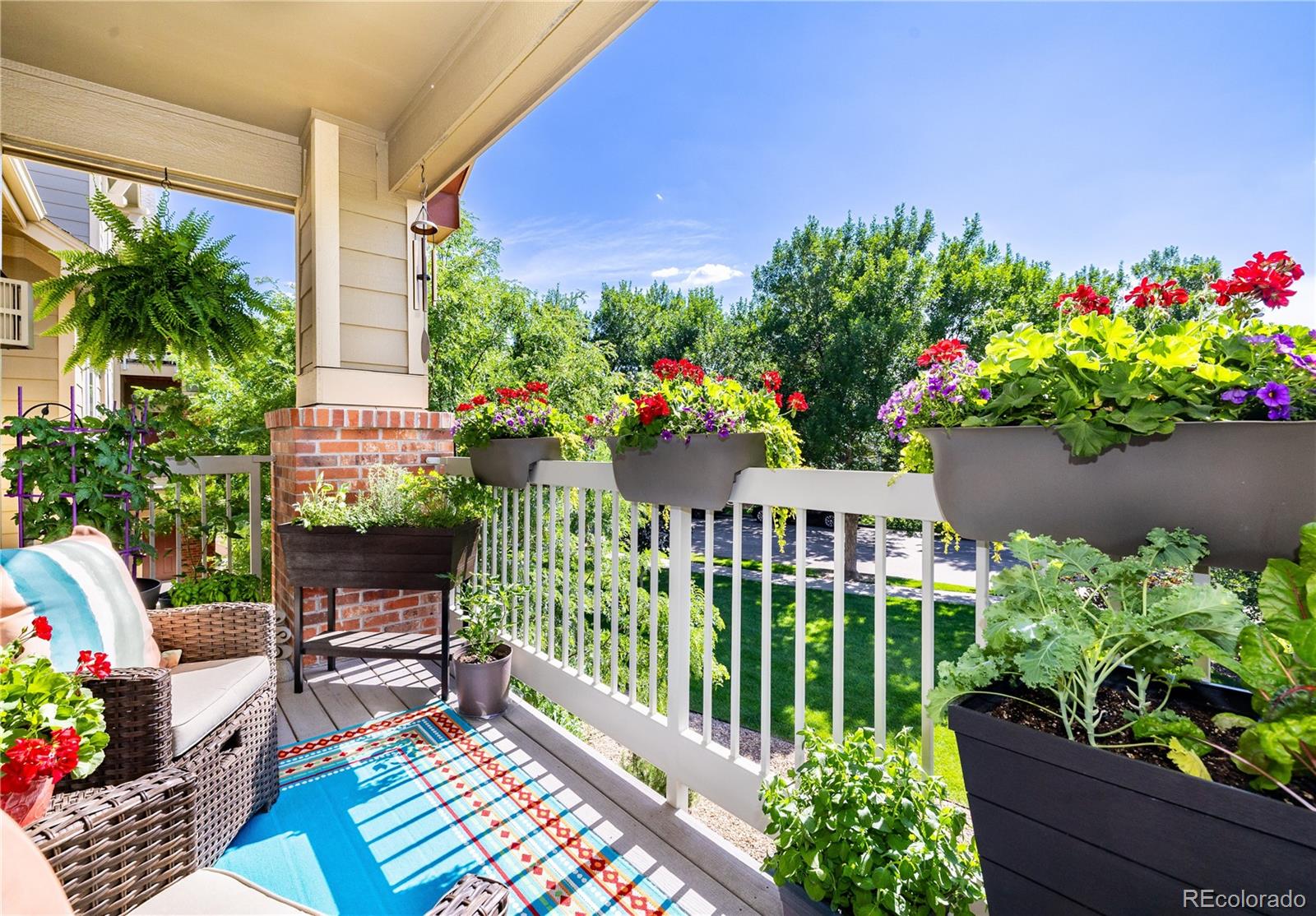 MLS Image #25 for 804  summer hawk drive,longmont, Colorado