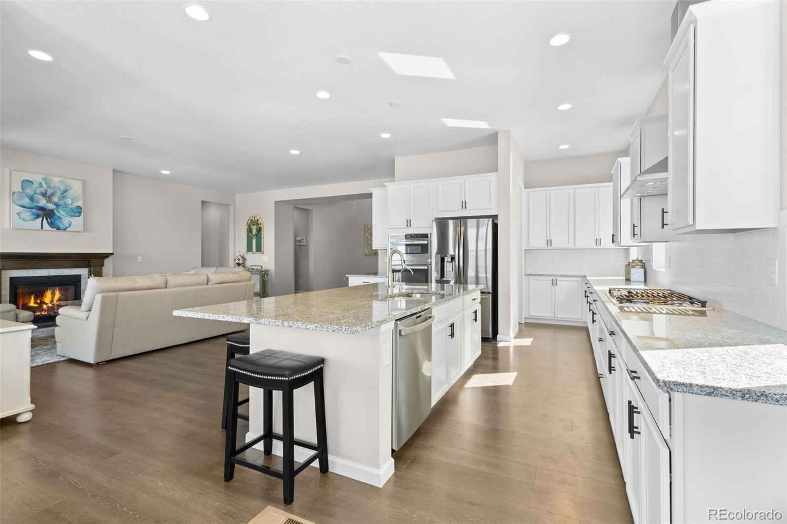 MLS Image #10 for 17101  hop clover avenue,parker, Colorado