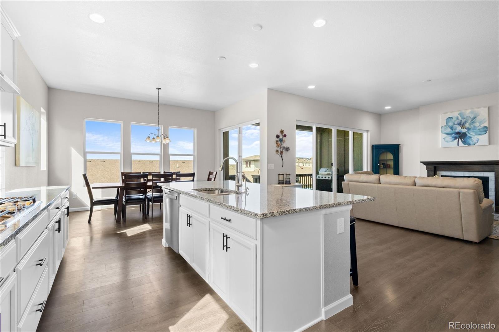 MLS Image #12 for 17101  hop clover avenue,parker, Colorado