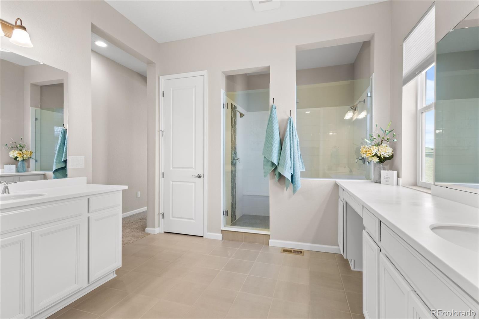 MLS Image #18 for 17101  hop clover avenue,parker, Colorado