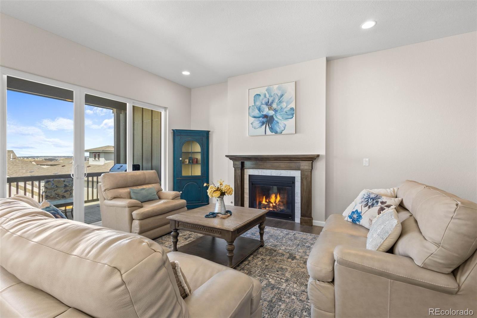 MLS Image #6 for 17101  hop clover avenue,parker, Colorado