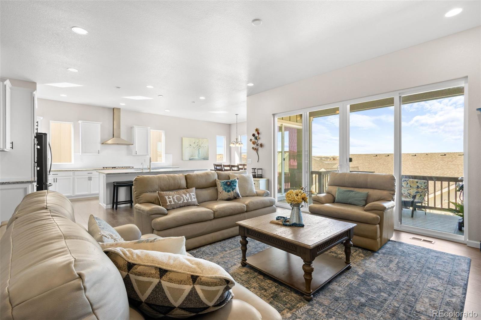 MLS Image #7 for 17101  hop clover avenue,parker, Colorado