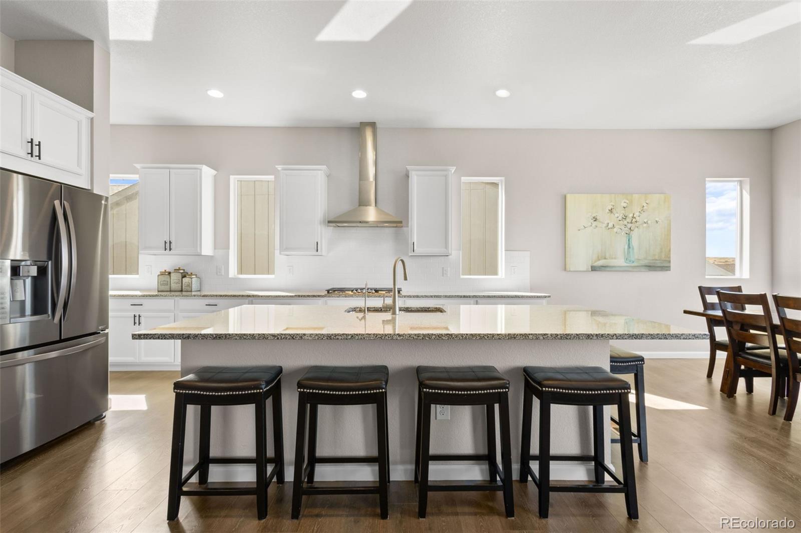 MLS Image #8 for 17101  hop clover avenue,parker, Colorado