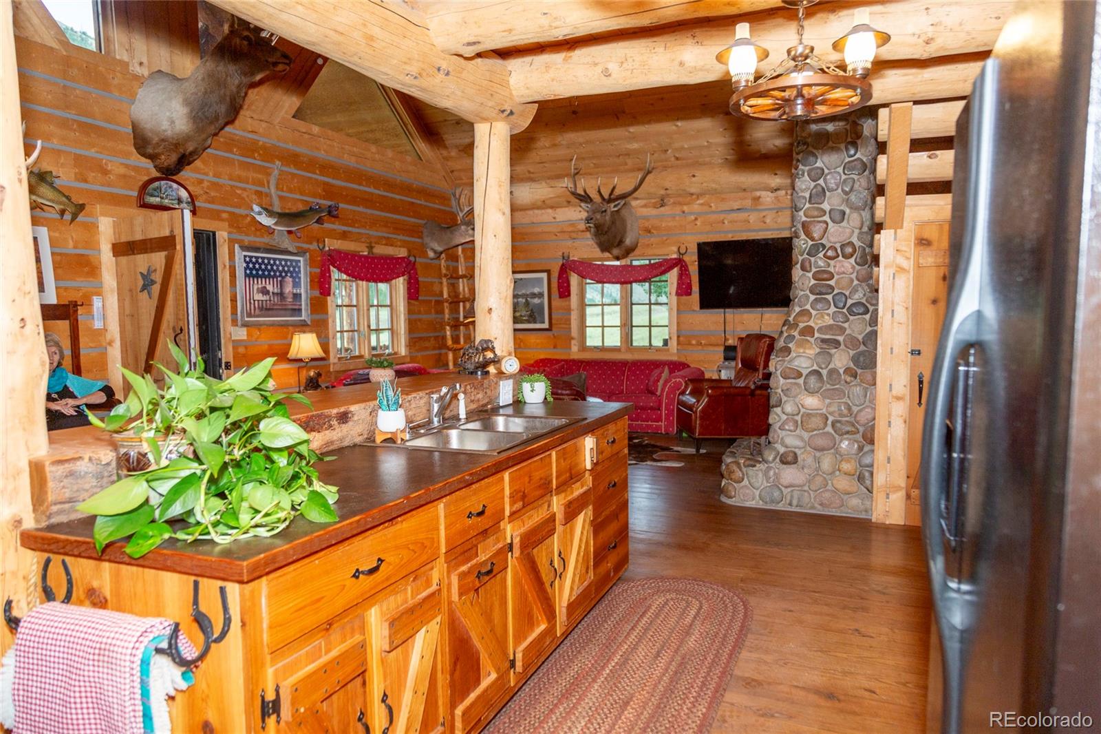 MLS Image #13 for 2150  usfs rd 521 ,creede, Colorado