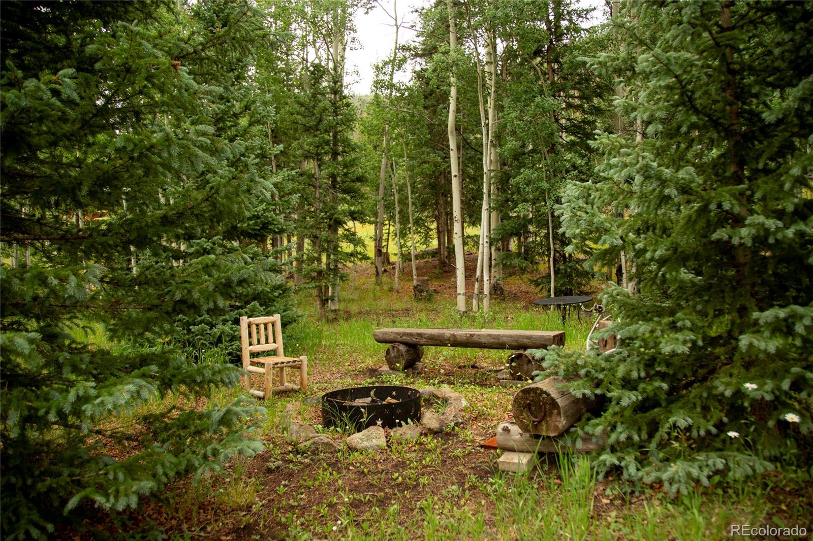MLS Image #14 for 2150  usfs rd 521 ,creede, Colorado