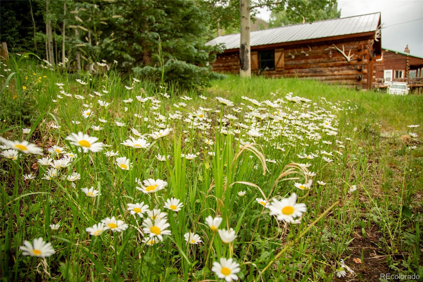 MLS Image #19 for 2150  usfs rd 521 ,creede, Colorado