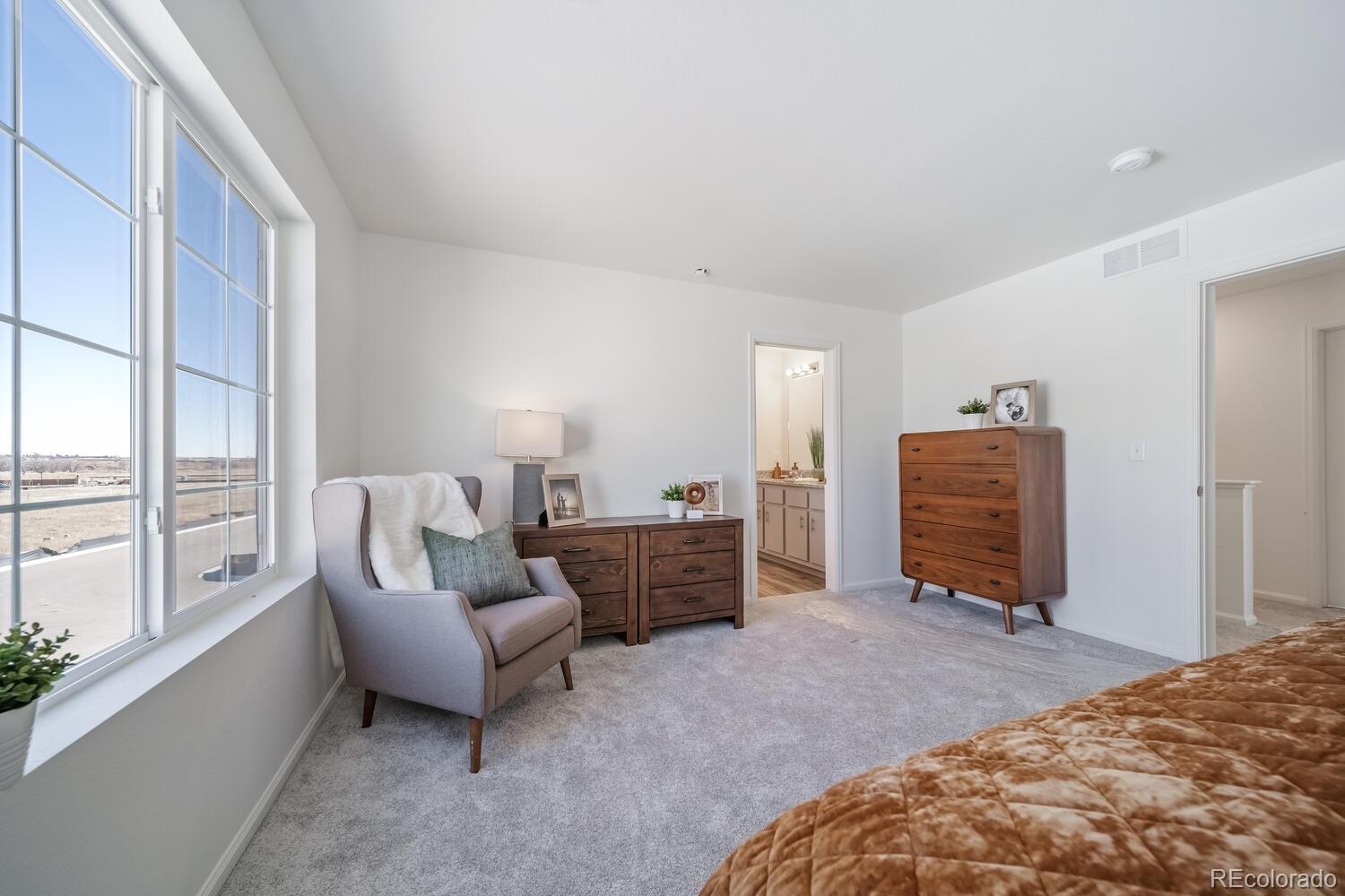MLS Image #14 for 10166  scranton court,commerce city, Colorado