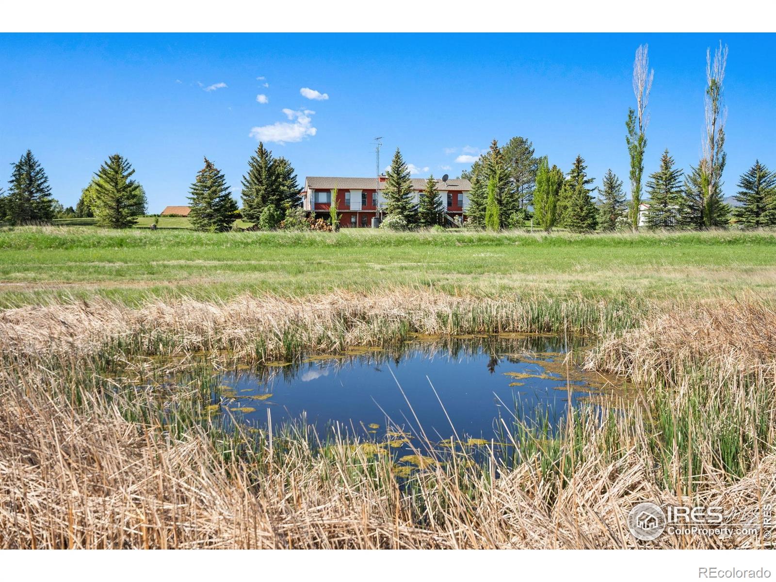 MLS Image #2 for 4910  four star court,fort collins, Colorado