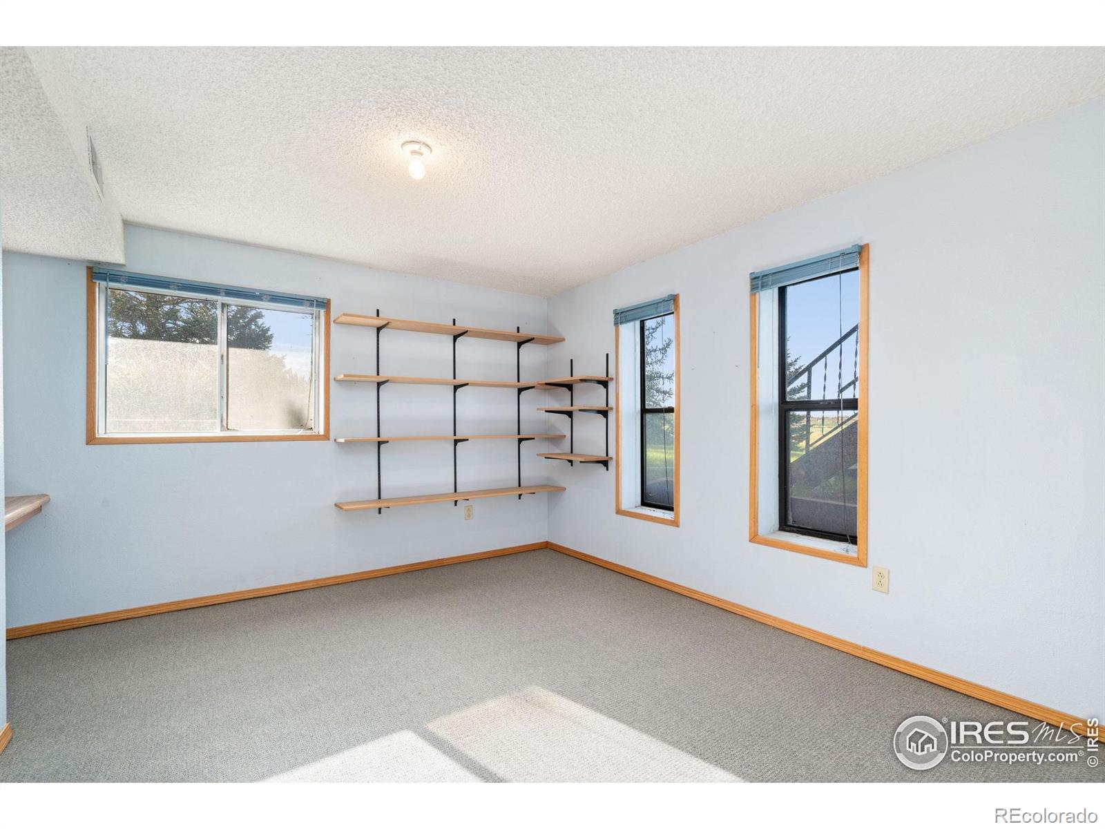 MLS Image #29 for 4910  four star court,fort collins, Colorado