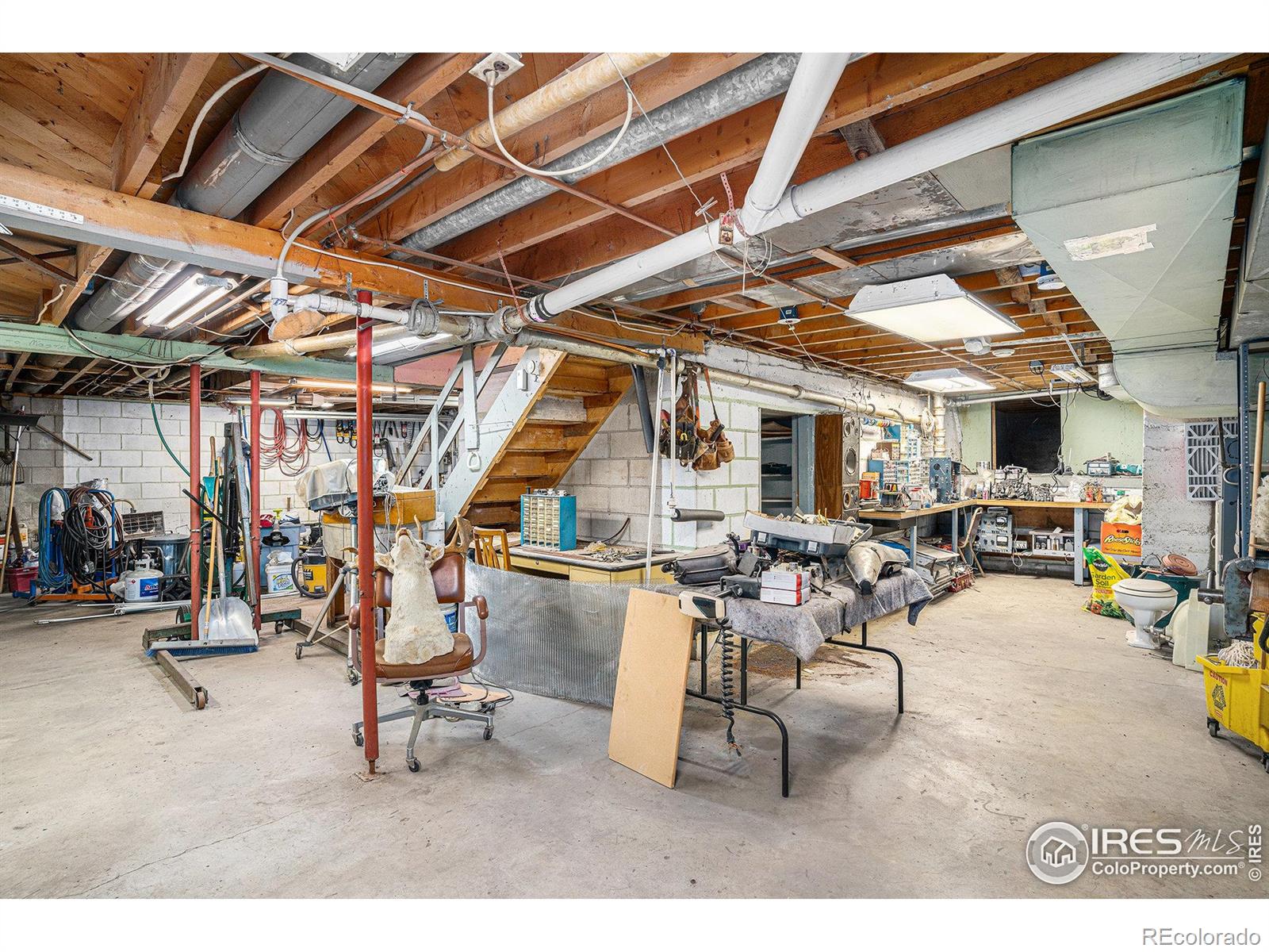MLS Image #21 for 143  waltonia road,drake, Colorado