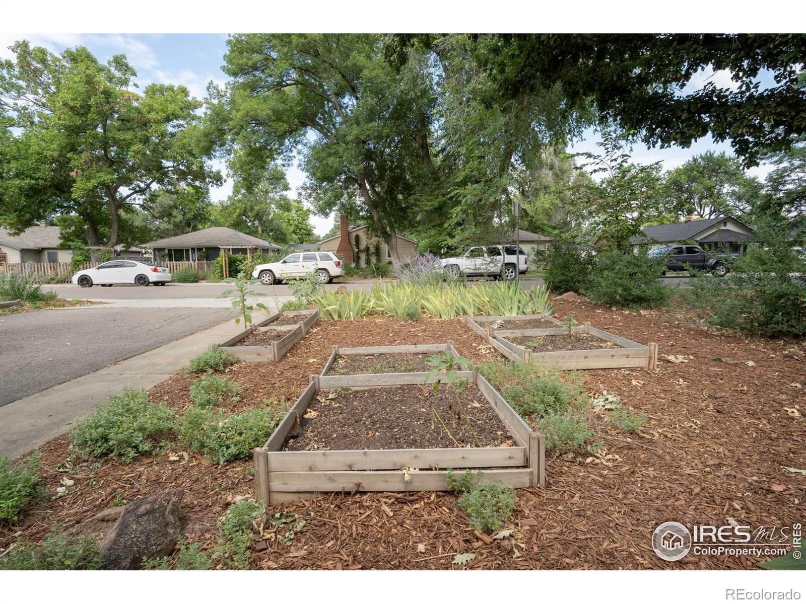 MLS Image #3 for 1034  venice street,longmont, Colorado
