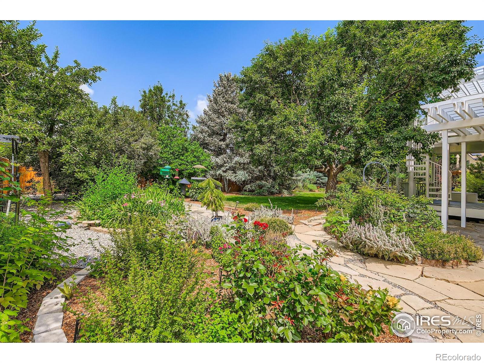 MLS Image #9 for 1612  zinnia circle,lafayette, Colorado