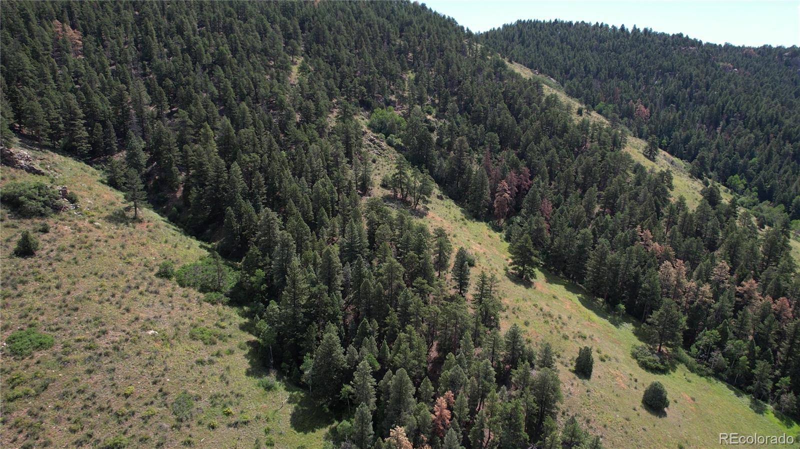 MLS Image #44 for 12318 s foxton road,conifer, Colorado