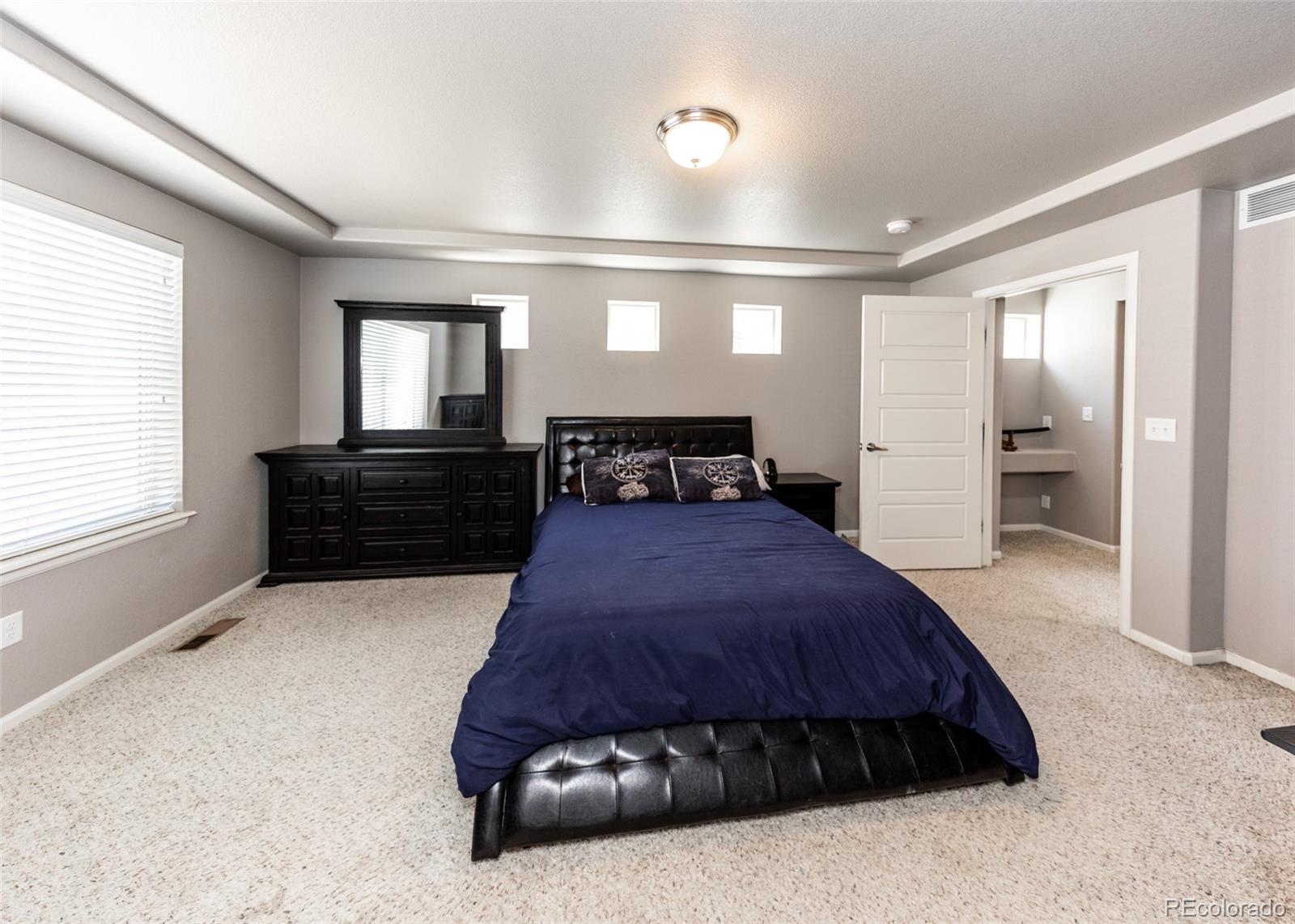 MLS Image #28 for 8344  longleaf lane,colorado springs, Colorado