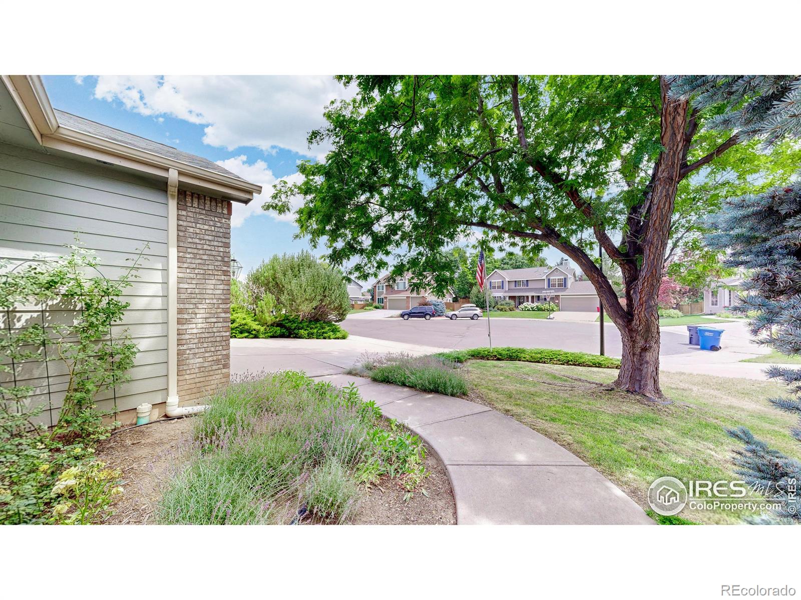 MLS Image #3 for 2406  pine needle court,fort collins, Colorado
