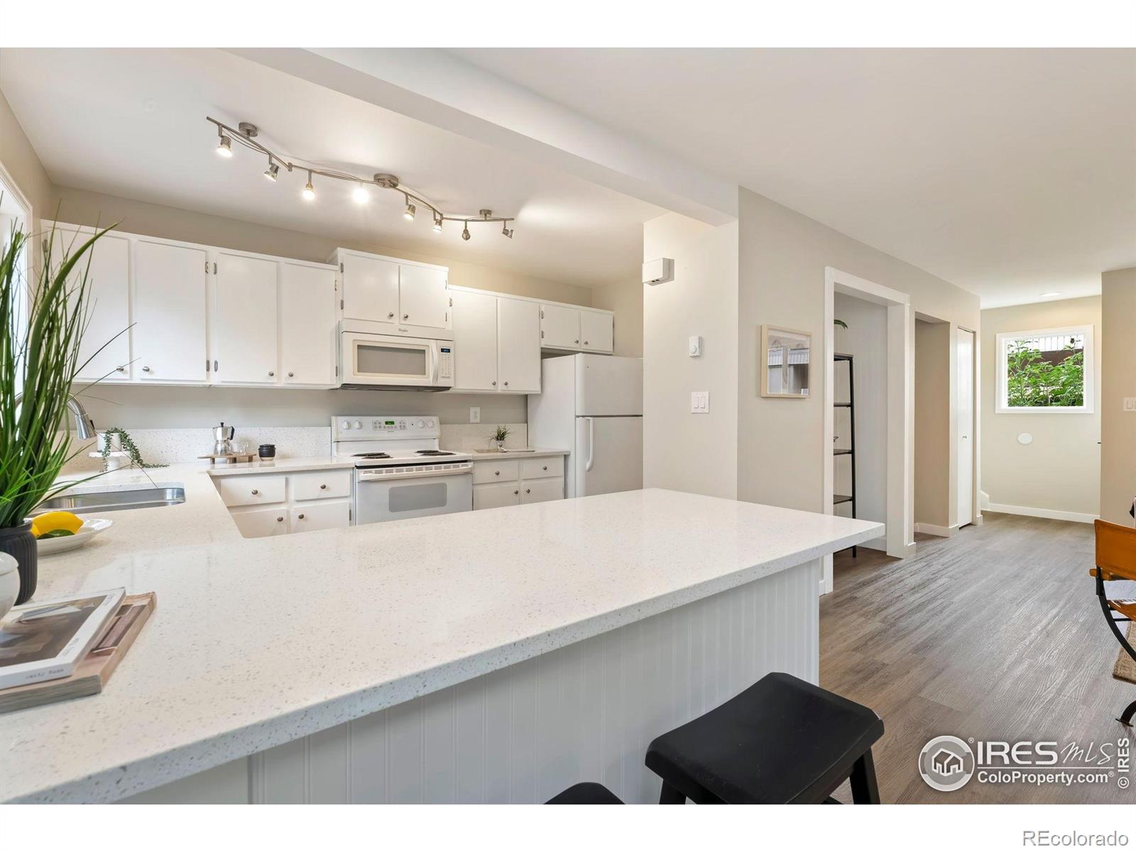 MLS Image #13 for 3005  ross drive,fort collins, Colorado