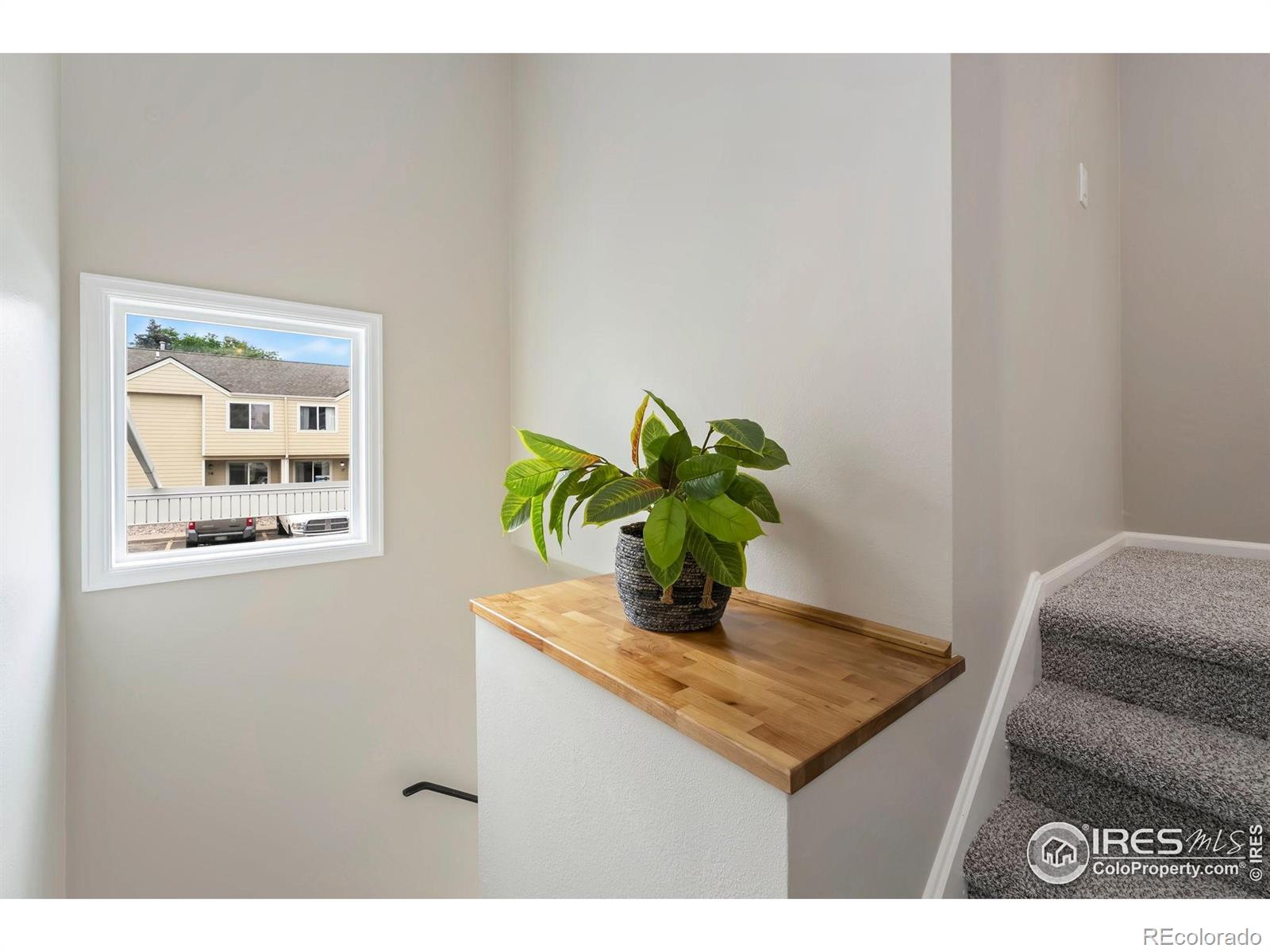 MLS Image #15 for 3005  ross drive,fort collins, Colorado