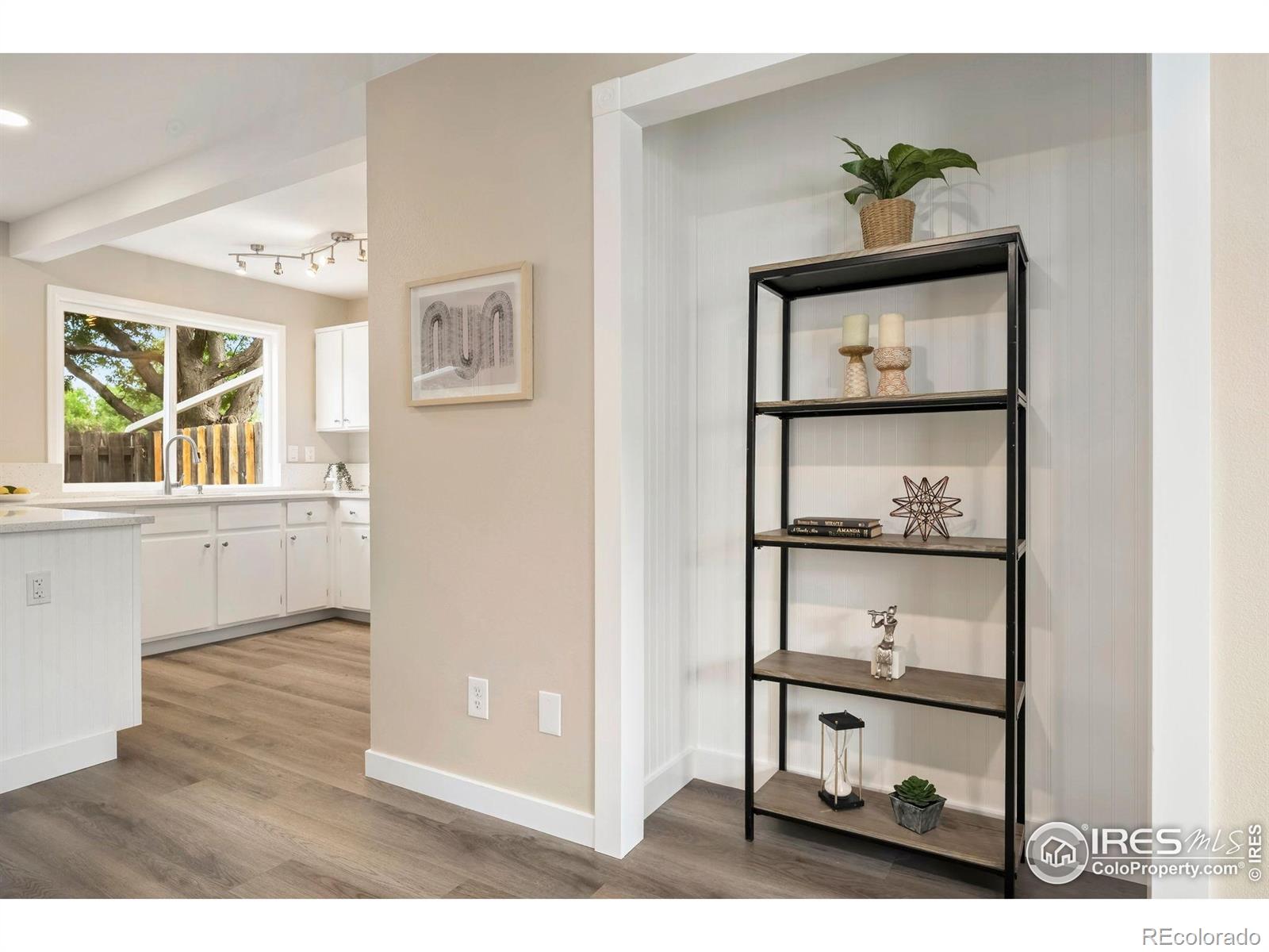MLS Image #6 for 3005  ross drive,fort collins, Colorado