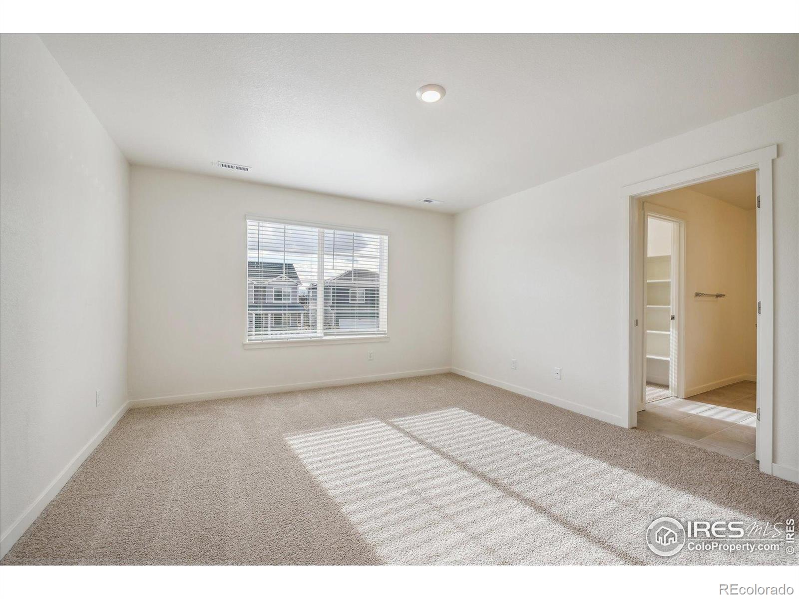 MLS Image #14 for 925  tallus street,lochbuie, Colorado