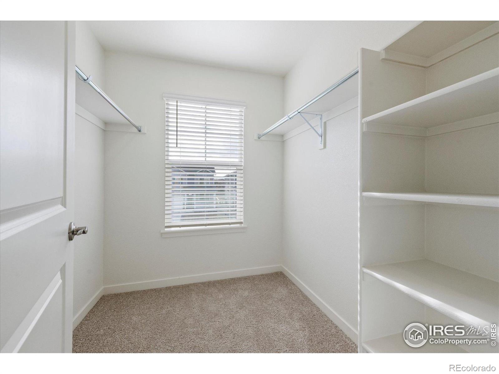 MLS Image #16 for 925  tallus street,lochbuie, Colorado