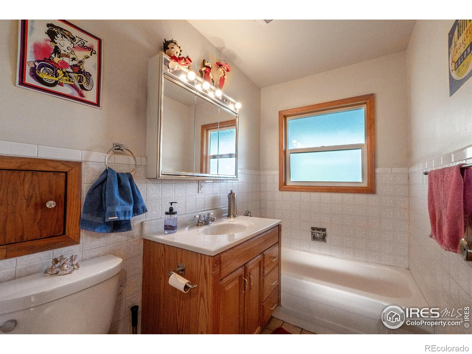 MLS Image #18 for 3452  tipple parkway,erie, Colorado