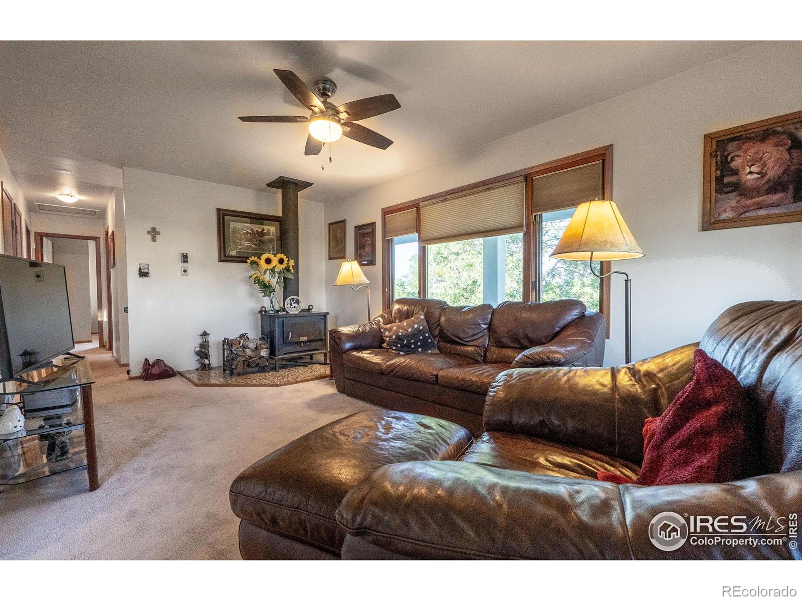 MLS Image #8 for 3452  tipple parkway,erie, Colorado