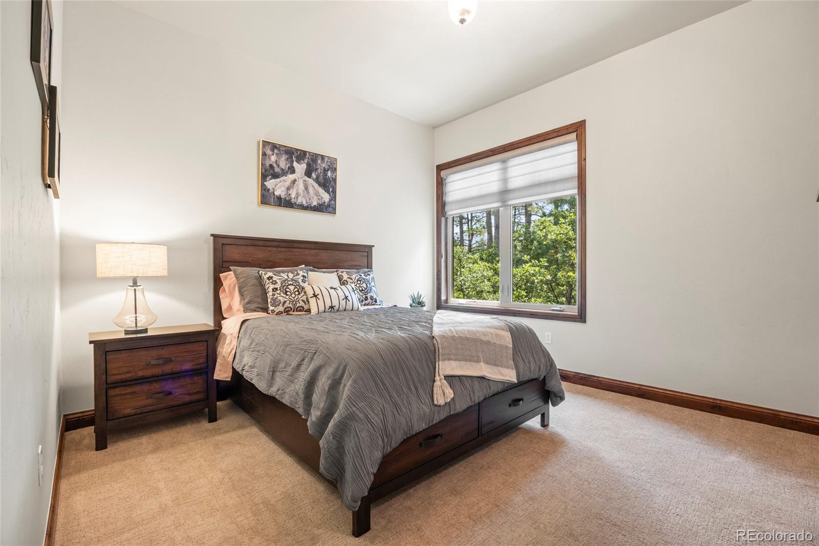 MLS Image #24 for 4604  tierra alta drive,castle rock, Colorado