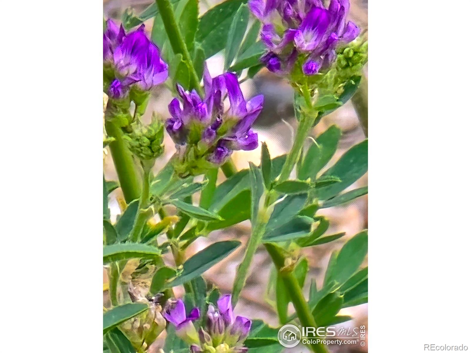 MLS Image #18 for 1521 w us highway 34 ,loveland, Colorado