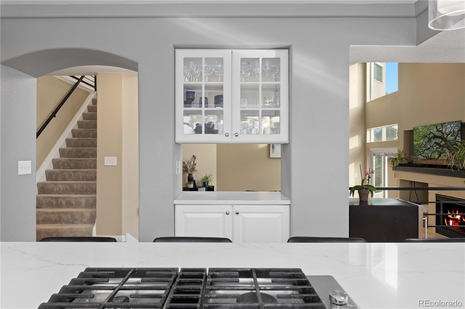 MLS Image #10 for 9501  sand hill court,highlands ranch, Colorado