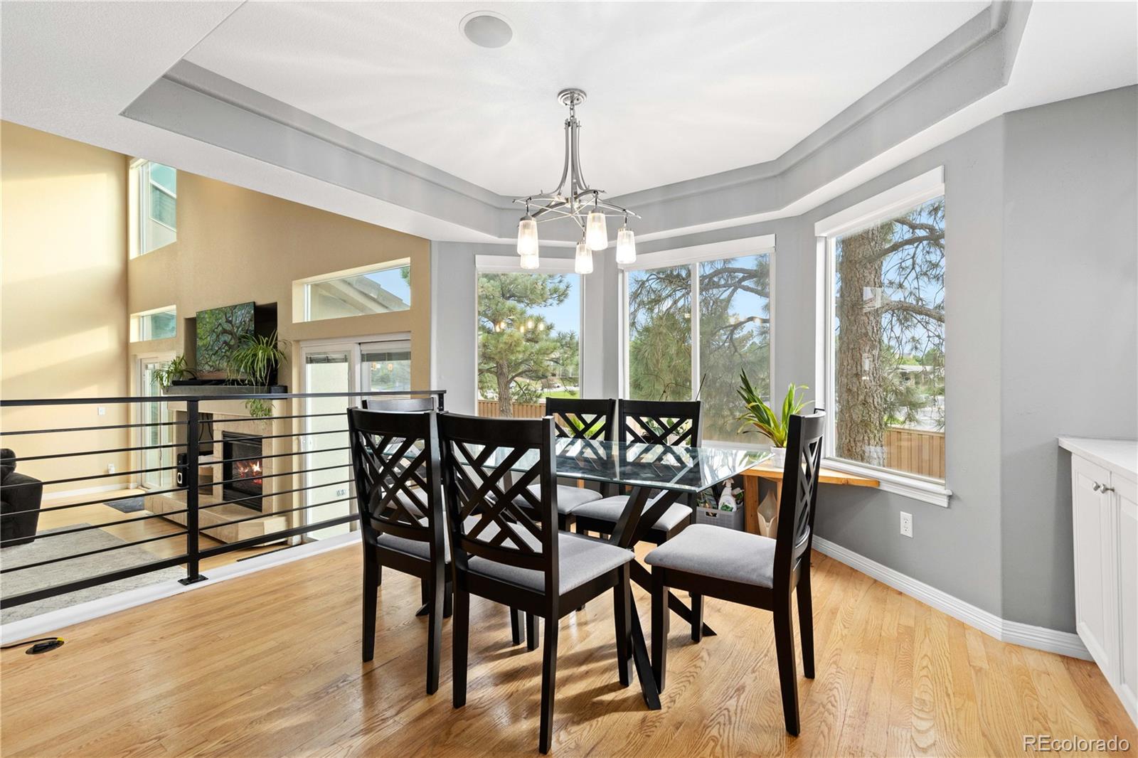 MLS Image #11 for 9501  sand hill court,highlands ranch, Colorado