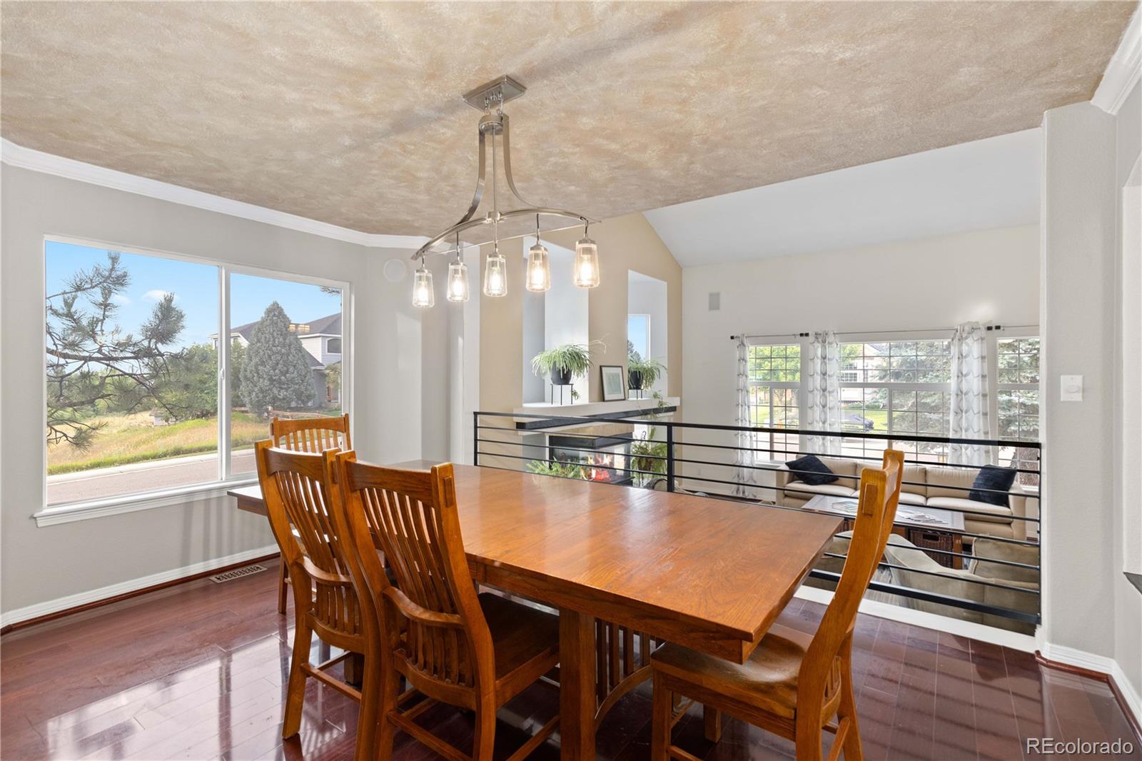 MLS Image #5 for 9501  sand hill court,highlands ranch, Colorado
