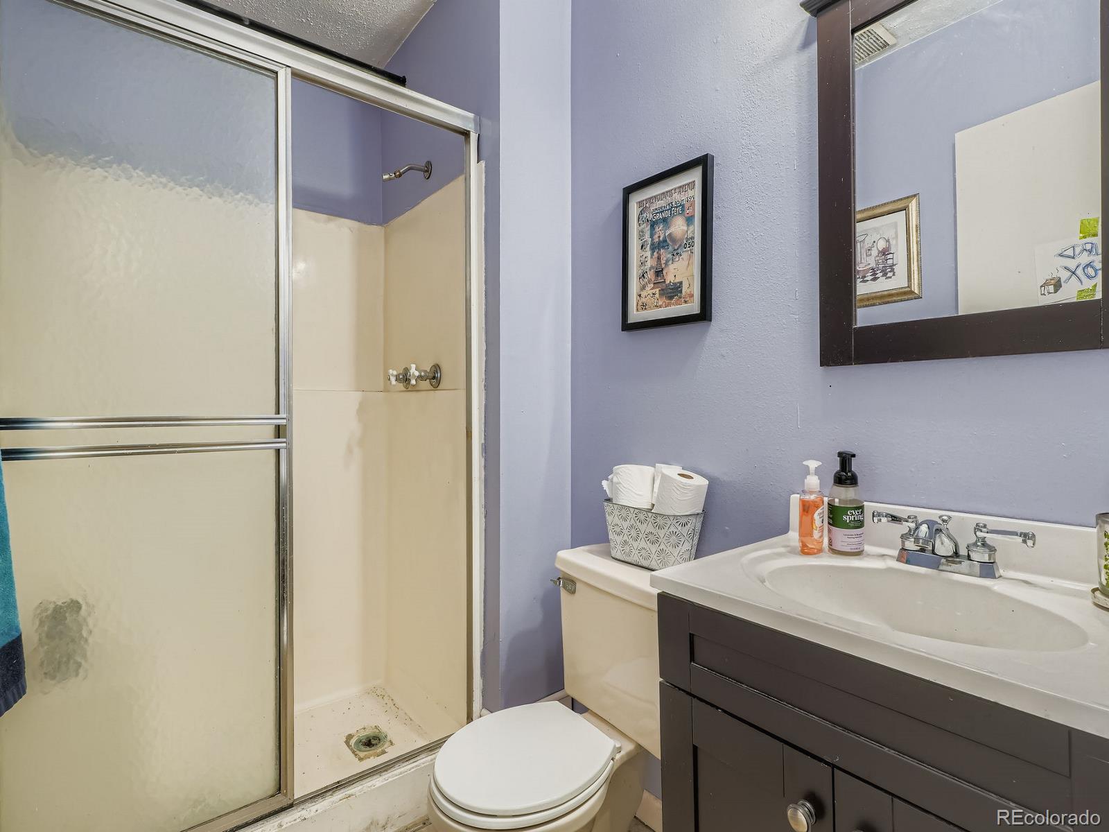 MLS Image #4 for 4406 s vivian street,morrison, Colorado
