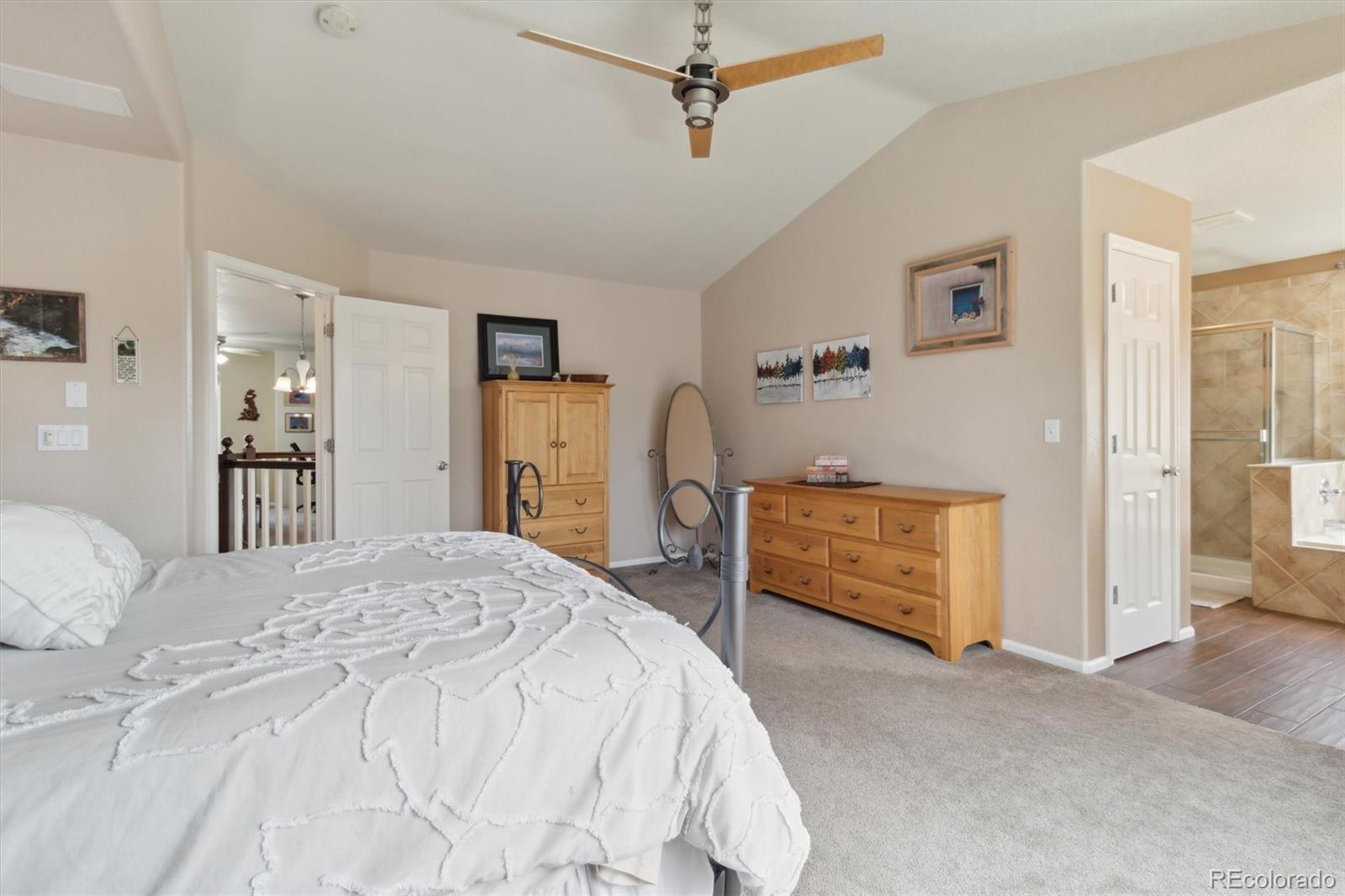 MLS Image #21 for 359 s cherry street,castle rock, Colorado