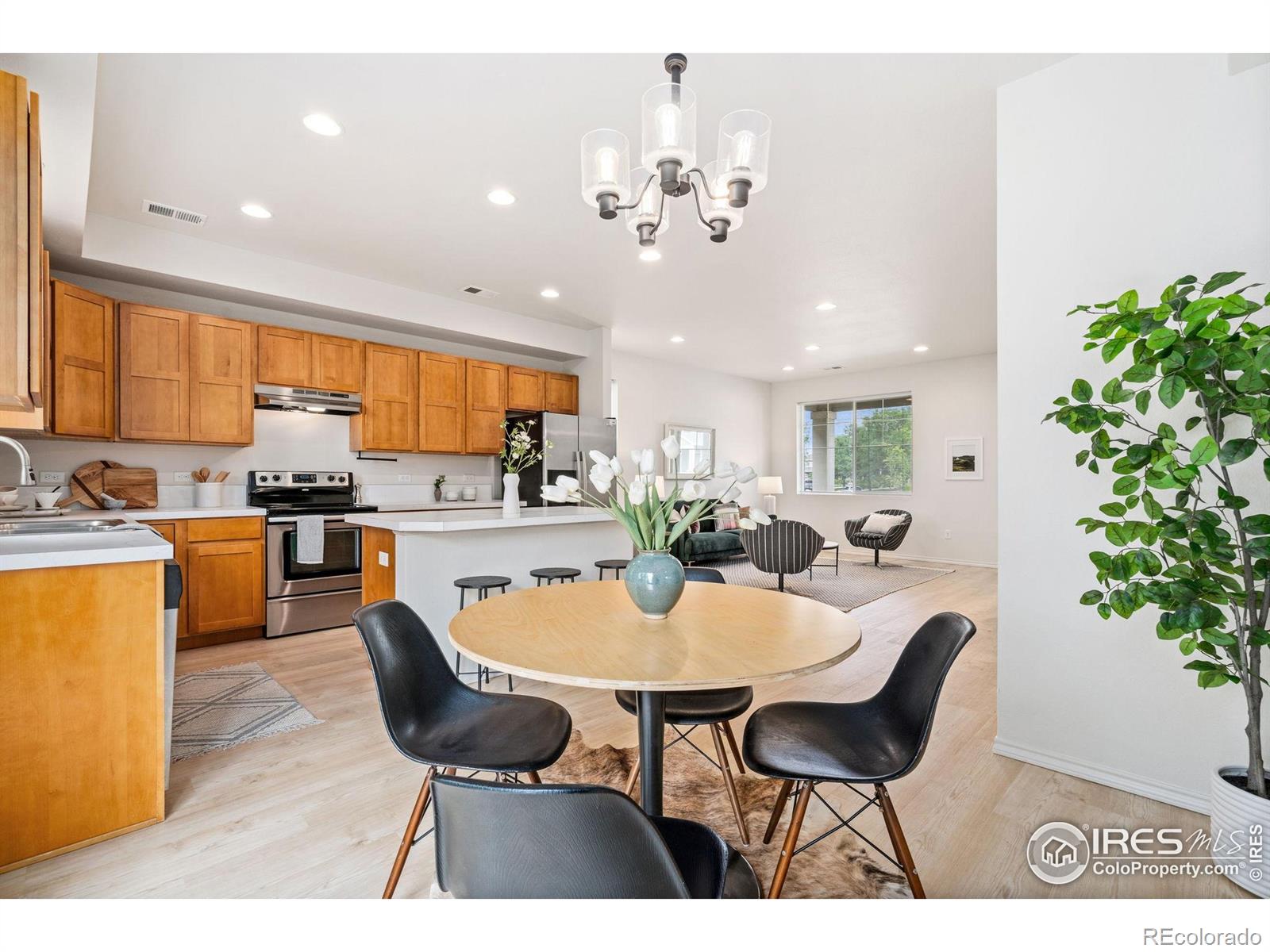 MLS Image #10 for 351  bannock street,fort collins, Colorado