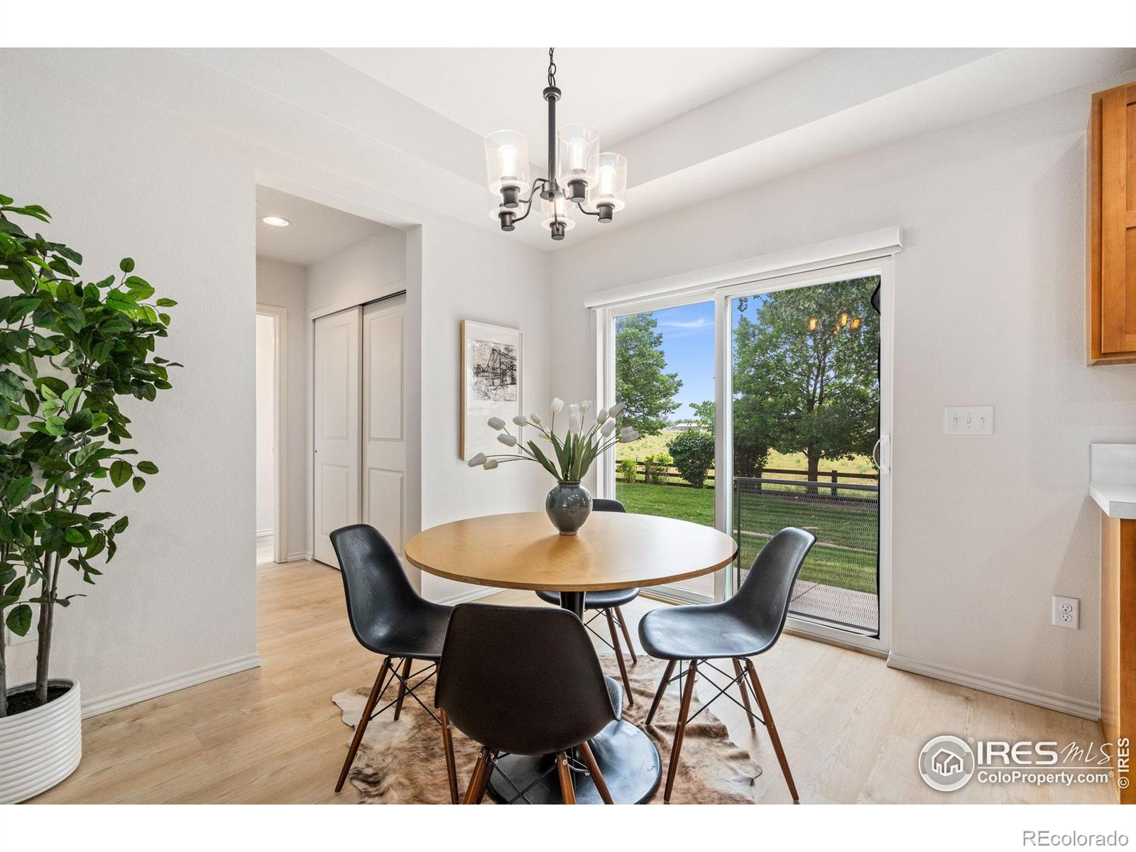 MLS Image #11 for 351  bannock street,fort collins, Colorado