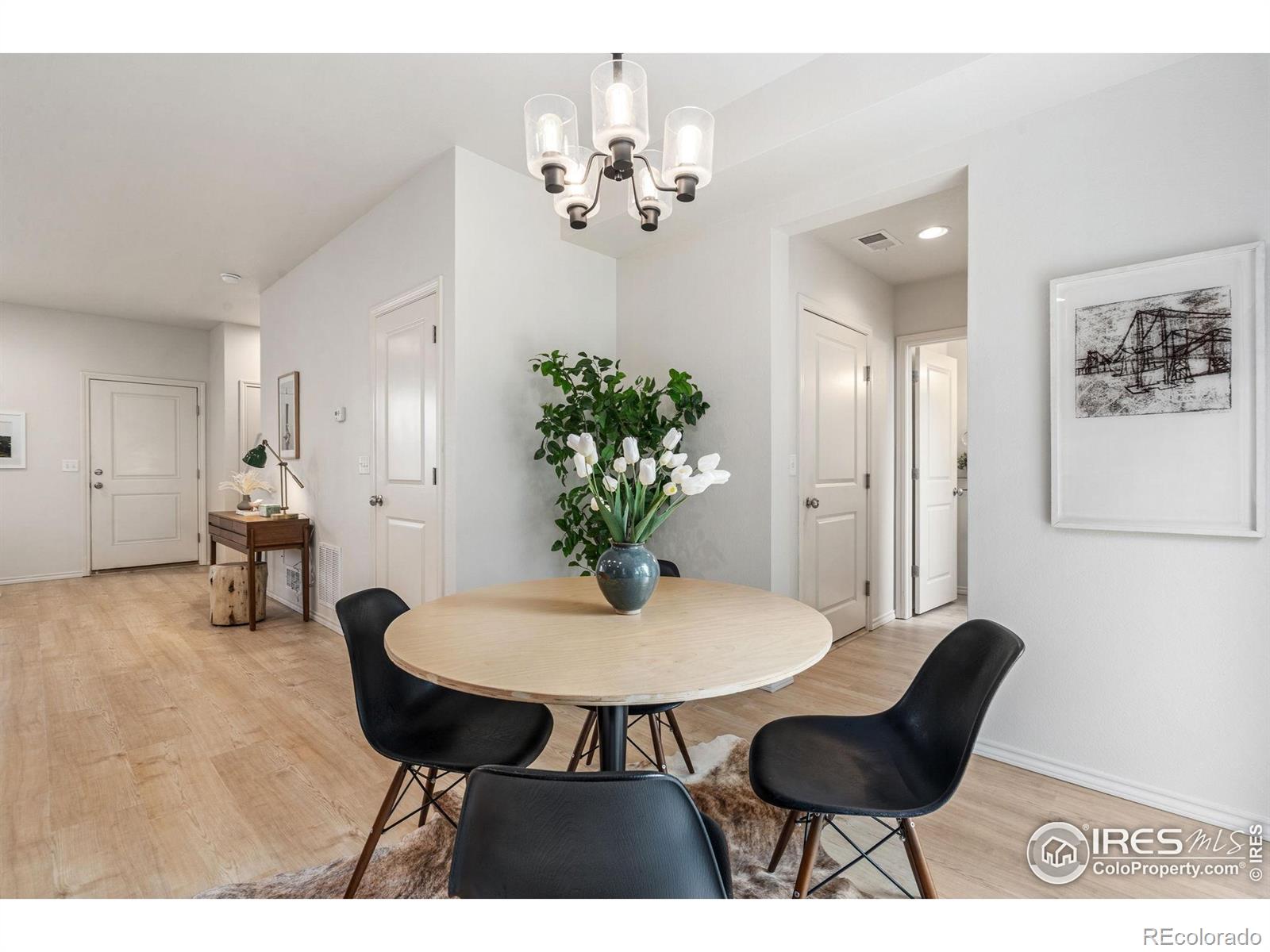 MLS Image #12 for 351  bannock street,fort collins, Colorado